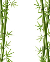Fototapeta premium Green bamboo stalks with leaves isolated on a transparent background