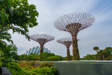 Fantastic place in the Singapore Supertree Grove  © Daniel