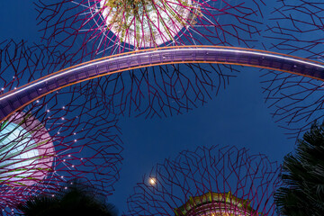 Fantastic place in the Singapore Supertree Grove  © Daniel