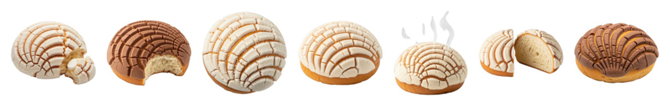 Concha set including vanilla, chocolate, whole, bitten, halved, and steaming bread isolated. Traditional Mexican sweet food.
