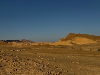 Desert landscape