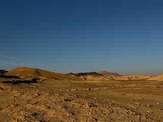 Desert landscape
