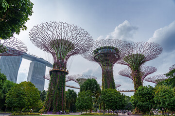 Fantastic place in the Singapore Supertree Grove  © Daniel