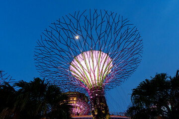 Fantastic place in the Singapore Supertree Grove  © Daniel