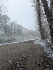 foggy winter road in the snow