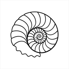 Obraz premium Fossil Spiral Shell Line Art Vector Graphic
