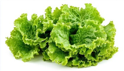 High Resolution Fresh Green Lettuce Leaves On White Background Ideal For Creative Projects, Enhance Your Designs With This Versatile Image Option.