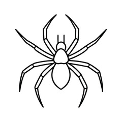 outline of a spider on white background 