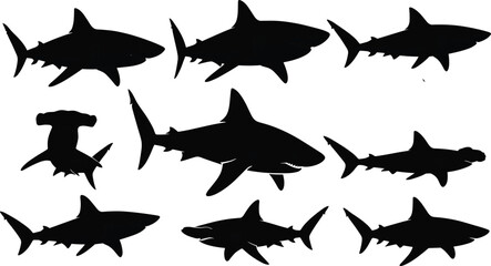 Shark silhouette icon set, black vector marine predators, species comparison chart, ocean animal design elements, CAD drawing flat vector illustration