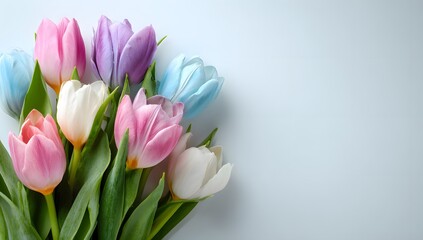 Fototapeta premium Vibrant pastel tulip bouquet fresh spring flowers blooming elegance soft hues