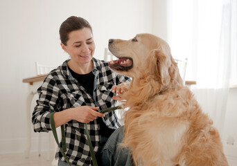 Cute Girl Pets Adorable Golden Retriever Dog And Clips The Leash To Its Collar For A Walk