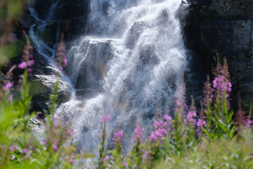 incredibly beautiful mountain waterfall among flowers