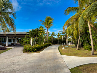 Discover Cayo Santa Maria, Cuba, in 2025: pristine beaches, turquoise waters, vibrant sunsets. Enjoy snorkeling, Cuban culture, and tropical vibes in this Caribbean paradise.