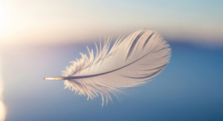 A single, delicate white feather floating softly in a serene, dreamy, light blue and soft pink atmospheric background with a gentle, out-of-focus bokeh effect.