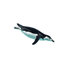 Obraz premium Majestic jumping dolphin isolated on white background, perfect for marine life education, ocean-themed campaigns and playful designs