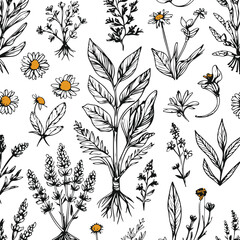 Traditional healing herbs illustration, black ink doodle style, leaves and flowers, vector line art for skincare and natural wellness packaging 4