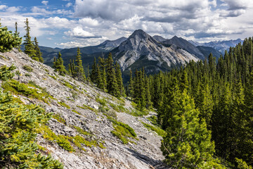 Obraz premium Mountain Landscape in Kananaskis Country with Expansive Forest
