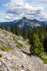 Fototapeta premium Majestic Mountain Landscape with Lush Forest in Kananaskis, Alberta