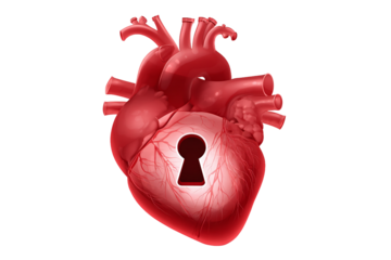 Human Heart with Keyhole isolated on white transparent background