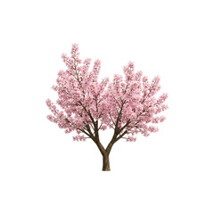 Beautiful pink cherry blossom tree isolated on white background perfect for spring nature and seasonal illustrations