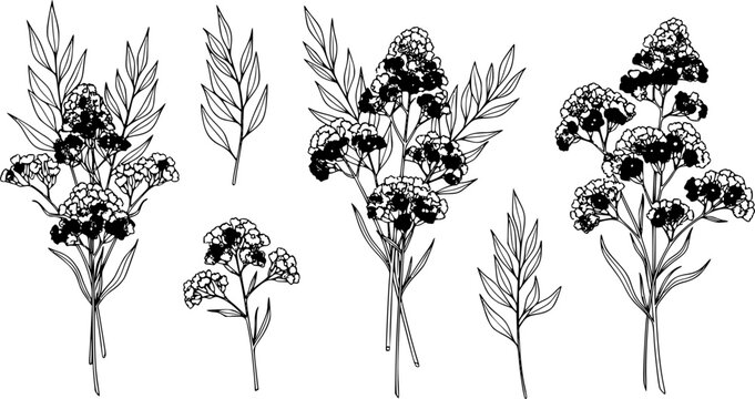 Floral bakground or wallpaper with tender flowers and leaves. Botanical foliage for wedding invitation or wall art. Vector illustration
