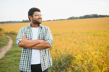 The concept of agriculture. An Indian farmer or agronomist inspects the soybean crop in a field