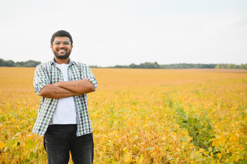 The concept of agriculture. An Indian farmer or agronomist inspects the soybean crop in a field