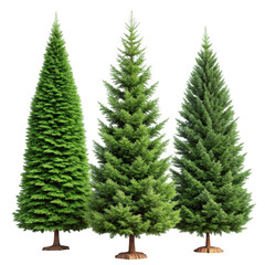 Fototapeta premium 3d realistic christmas trees isolated on transparent background