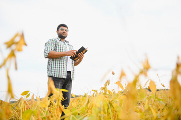 A young Indian farmer works in a soybean field
