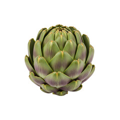 Fototapeta premium Fresh Artichoke Closeup Isolated on White Background – Organic Green Vegetable Rich in Nutrients