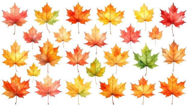 Vibrant autumn leaves in watercolor style