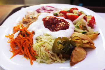 Shawarma on a plate close-up. Vegetables with potatoes and sauce close-up