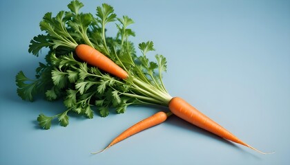 A close-up of three fresh carrots with vibrant green tops on a blue background.
