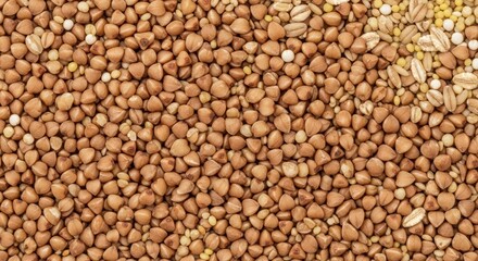 Close-up of mixed grains and seeds including buckwheat, millet, and oats