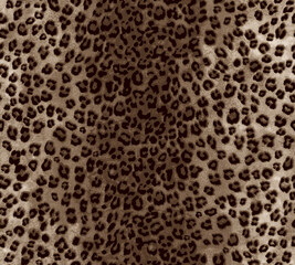 leopard print texture. seamless leopard skin pattern.
