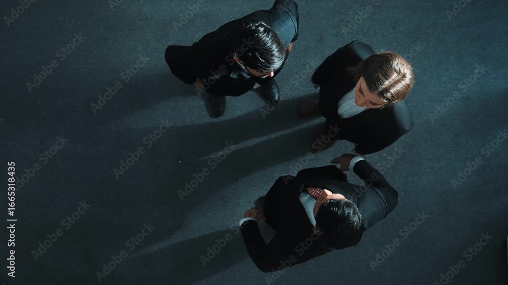 Poster top down aerial view of diverse business team explain marketing strategy while standing and looking 
