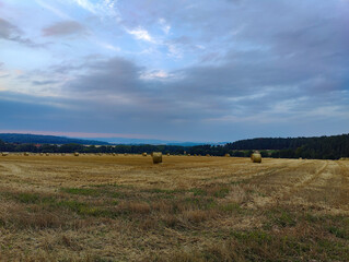 A field of hay bales in the middle of a field under a cloudy sky