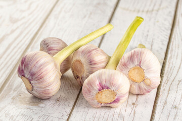 Raw young garlic bulb heap