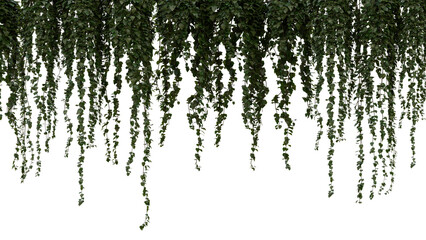 A bunch of green leaves hanging from a tree branch