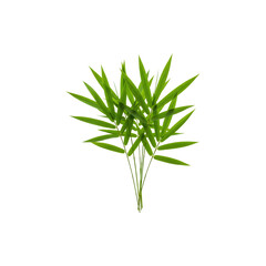 Fototapeta premium Fresh bamboo leaves isolated on white background fo Asian culture, eco, and natural plant themes