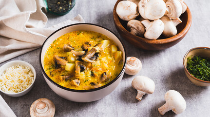 Delicious soup with vegetables, mushrooms and cheese in a bowl on the table web banner