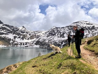 Siberian husky e ragazza al lago ghiacciato 