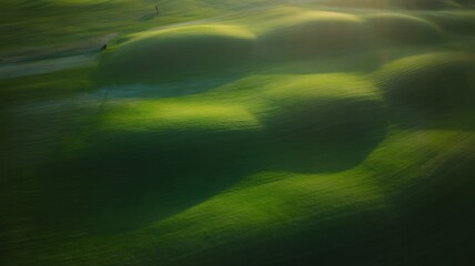 Rolling Green Hills Bathed in Golden Sunlight landscape