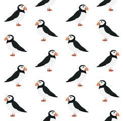 Vector seamless pattern of flat  puffin bird isolated on white background
