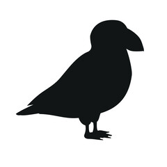 Vector flat puffin bird isolated on white background