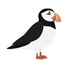 Vector flat puffin bird isolated on white background