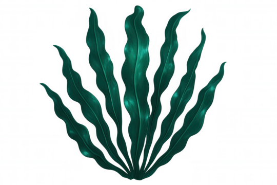 Lush, green leaves arranged in a fan shape, creating a vibrant and natural element on a transparent background