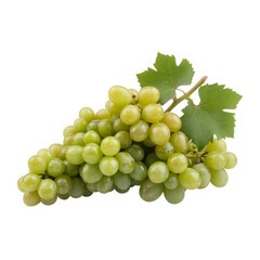 Obraz premium Fresh green grapes with leaves fruit bunch