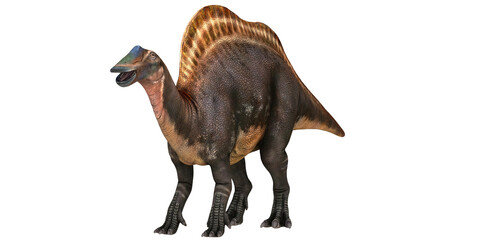 Spinosaurus in a lifelike pose against white background.