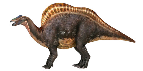 Illustration of a spinosaurus dinosaur